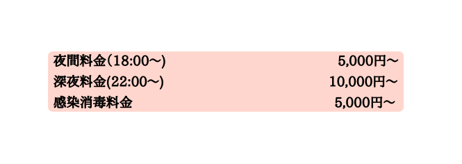 夜間料金 18 00 5 000円 深夜料金 22 00 10 000円 感染消毒料金 5 000円