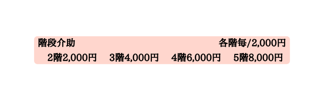 階段介助 各階毎 2 000円 2階2 000円 3階4 000円 4階6 000円 5階8 000円